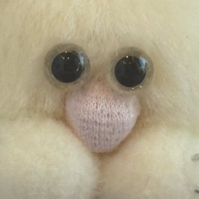 nyanconroom's profile picture
