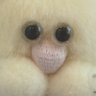 Profilbild von nyancon room