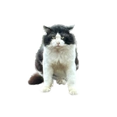 ooooootaru's profile picture