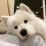 kettyy profil fotoğrafı
