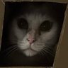 DarkJoker67's profile picture