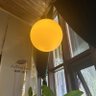 灵峰BTCmoon 的头像