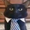 เมว profil fotoğrafı