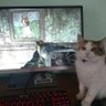 0 profil fotoğrafı