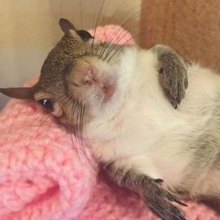 choerry zip's profile picture