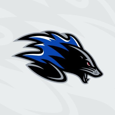 SJSeaDogs's profile picture