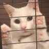 Profilbild von Nay-Nay
