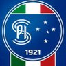 Фото профиля nascidos palestra forjados cruzeiro 🦊🇫🇮
