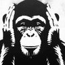 Gloire.M241's profile picture