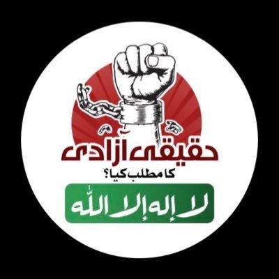 PTIPunjabPK's profile picture