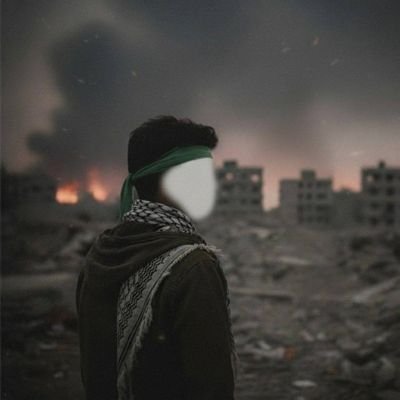أنس أبو عُمر's profile picture