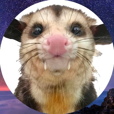 ᘛ⁐̤ᕐᐷ's profile picture