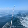 NJ Inshore Fishing's profile picture