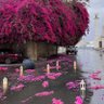 Фото профиля جنان الحامد