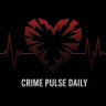 Фото профиля crimepulsedaily