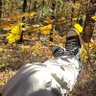 ꩜rin profil fotoğrafı