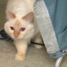 猫田運送 profil fotoğrafı