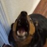 FriGi's profile picture