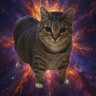 Liamkao's profile picture