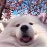 Kris's profile picture