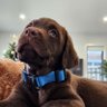 Blake profil fotoğrafı