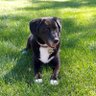 Betty Sue profil fotoğrafı