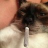 kerry coude's profile picture