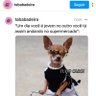 Eribgbr's profile picture