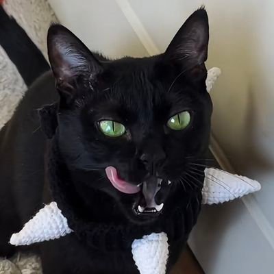 L022's profile picture