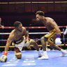🥊's profile picture