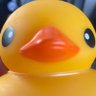 ピピッド(仮ラベル) profil fotoğrafı