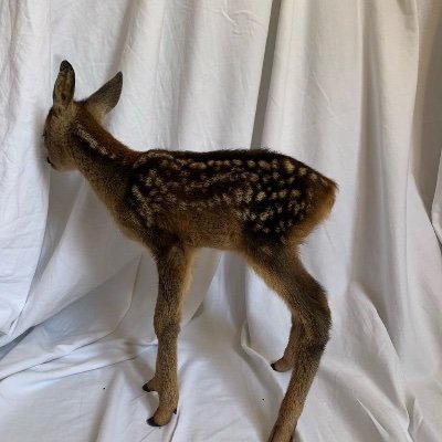 babyy's profile picture