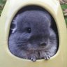 最近タバコが不味い's profile picture