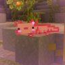 Frostybite - FlameCats CEO's profile picture