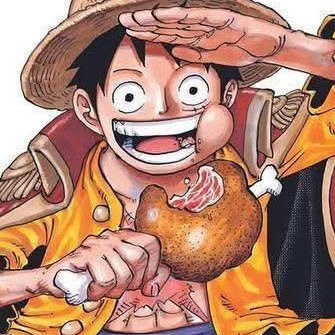 One Piece Enjoyer's profile picture