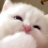 NOBI 的头像