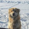 the_fool's profile picture