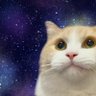 Profilbild von 生茶