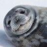 gammes's profile picture