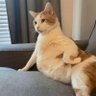 Фото профиля BorgeousCat