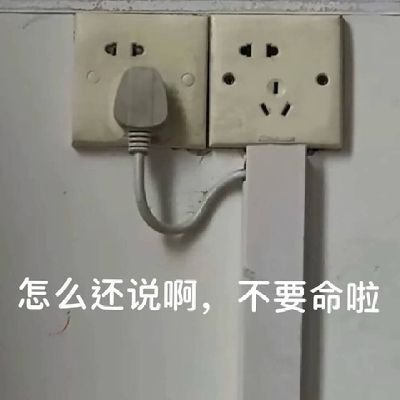 举🔨's profile picture