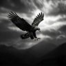 Фото профиля Mohamed Fathy