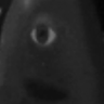 Profilbild von ouixo