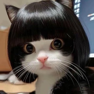 叉叉's profile picture