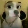 Profilbild von car