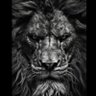Фото профиля Ali