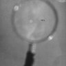tee_B profil fotoğrafı