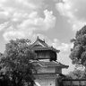 永春 profil fotoğrafı