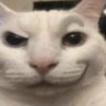 Mel's profile picture