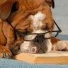 Profilbild von Educ8or